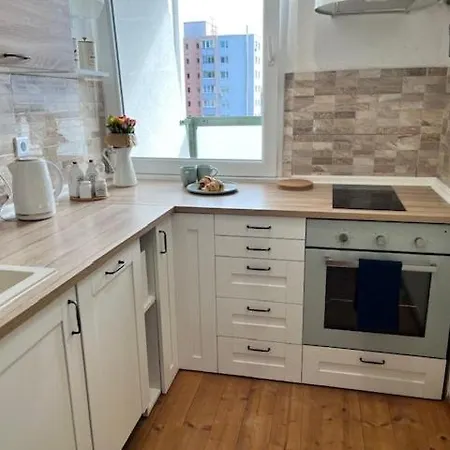 公寓 Cute With Amazing Balcony Near Center 布拉迪斯拉发